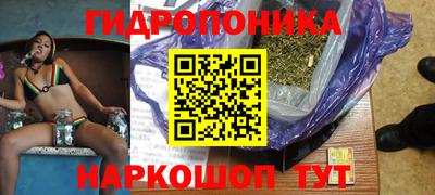 шишки Краснознаменск
