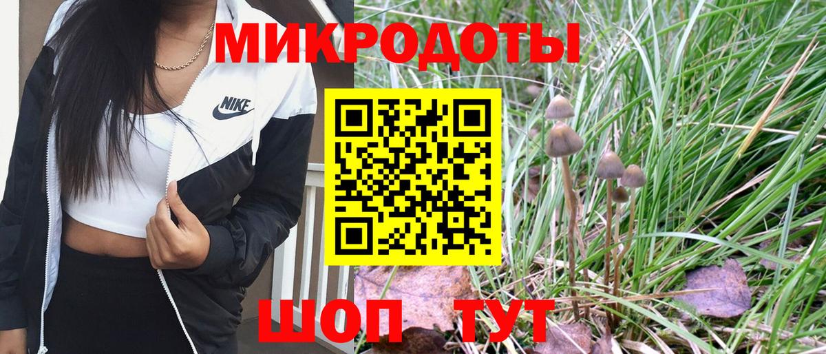 Югорск  Псилоцибиновые грибы Magic Shrooms  Вход с VPN 
